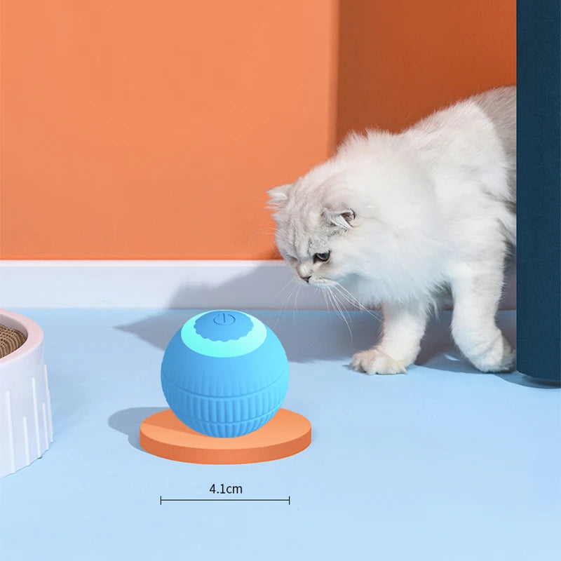 Kedi topu / otomatik oyun arkadaşı