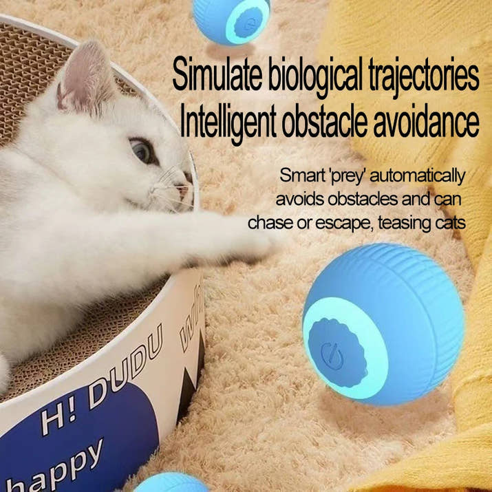 Kedi topu / otomatik oyun arkadaşı