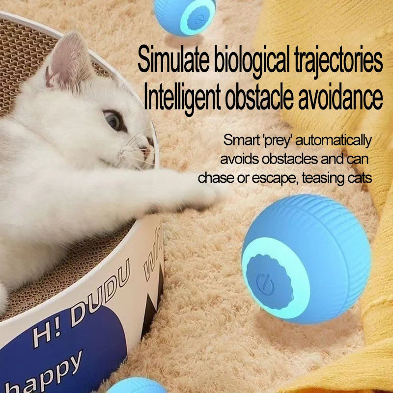 Kedi topu / otomatik oyun arkadaşı
