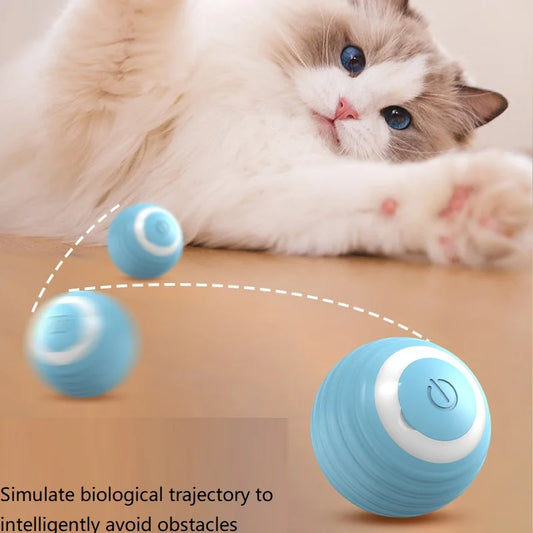 Kedi topu / otomatik oyun arkadaşı